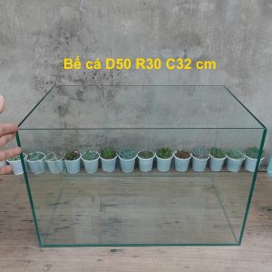 Bể cá cỡ 50 x 30 x 32 cm, dày 5 mm, bể dán dấu keo, thành bể được mài vi tính rất an toàn