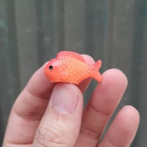 Phụ kiện cá chép nhỏ