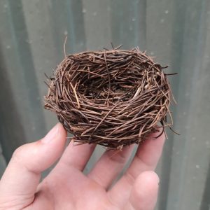 Phụ kiện tổ chim nhỏ