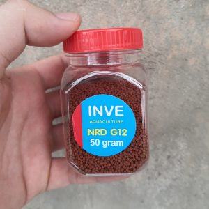 Thức ăn cá Inve G12