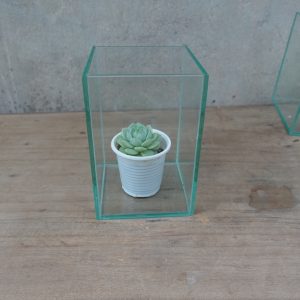 Chậu trồng cây Terrarium (hoặc làm bể cá betta) kích thước 10x10x15 cm