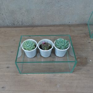 Chậu trồng cây thủy tinh (hoặc làm bể bán cạn) kích thước 20x13x8 cm