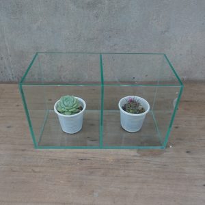 Bể cá Betta 2 ngăn kích thước 26x12x15 cm, thành bể đã được mài nhẵn