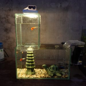 Set bể cá 24 cm úp ngược 7 món (bể 24, bể 10, 2 ghim, sỏi nền, máy lọc, rùa, bảo tháp, led đom đóm)