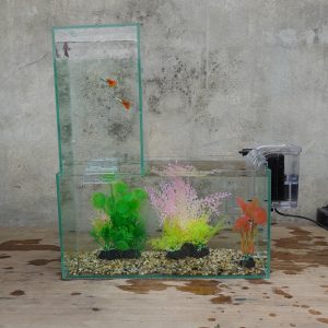 Set bể cá 33 cm úp ngược 7 món (bể 33, bể 13, sỏi nền, máy lọc, 2 ghim, 2 cây nhựa cỡ vừa, cây nhựa mini)