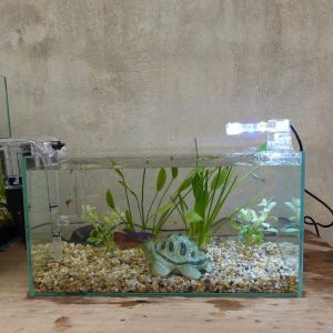 Bể cá 33 cm với 6 món (bể 33cm, sỏi nền, máy lọc, 500g phân nền, 2 cây thủy sinh, pk sứ nhỏ, đèn led 1.5W)