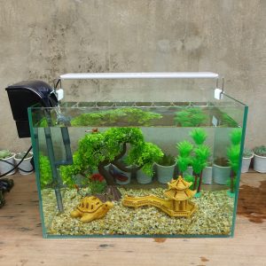 Set bể cá 40 cm với 7 món (bể, máy lọc, 2kg sỏi nền, bonsai cong, cây dừa nhựa, phụ kiện sứ to và nhỏ, chưa có đèn led)