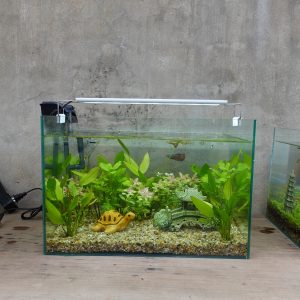 Set bể cá thủy sinh 40 cm 7 món (bể, 2 kg phân nền, 3,5 kg sỏi nền, lọc, cây thủy sinh, pk sứ to và nhỏ, chưa có đèn)