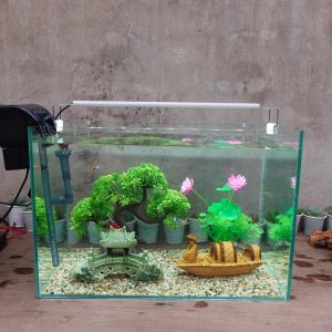 Set bể cá 45 cm với 7 món (bể, máy lọc, 3kg sỏi nền, cây nhựa (bonsai cong, hoa sen), 2 phụ kiện sứ to, chưa có đèn led)