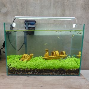 Set bể cá 45 cm với 7 món (bể, máy lọc, 3kg sỏi nền, 3kg phân nền, hạt giống, phụ kiện sứ to và nhỏ, chưa đèn))