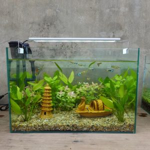Set bể cá 45 cm với 7 món (bể, máy lọc, 3kg sỏi nền, 3kg phân nền, 4 cây thủy sinh, phụ kiện sứ to và nhỏ, chưa có đèn)