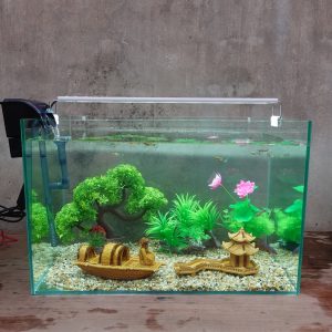 Set bể cá 50 cm với 8 món (bể, máy lọc, 4kg sỏi nền, cây nhựa (bonsai uốn cong, đế giả gỗ, hoa sen), 2 phụ kiện sứ to, chưa có đèn led)