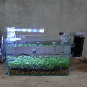 Bể cá mini 24 cm với 5 món (bể 24, sỏi nền, máy lọc, 500g phân nền, hạt giống thủy sinh, led 4w)