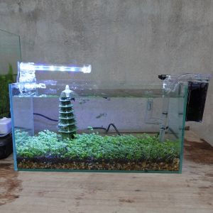 Bể cá 33 cm với 7 món (bể 33cm, sỏi nền, máy lọc, 1kg phân nền, hạt giống thủy sinh, pk vừa, đèn led 4W)