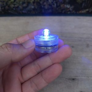 Phụ kiện bể cá: đèn led thả bể
