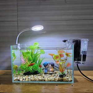 Bể cá mini 24 cm với 7 món (bể 24, sỏi nền, máy lọc, cây nhựa vừa và mini, đèn led uốn D1s, pk cặp đôi ngồi ghế)
