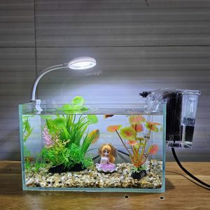 Bể cá mini 24 cm với 7 món (bể 24, sỏi nền, máy lọc, cây nhựa vừa và mini, đèn led uốn D1s, pk tiên cá)