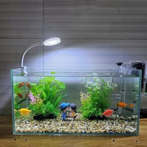 Bể cá 33 cm với 7 món (bể 33cm, sỏi nền, máy lọc, 2 cây nhựa vừa, đèn led uốn D1s, pk cặp đôi ngồi ghế)