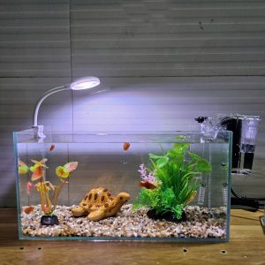 Bể cá 33 cm với 7 món (bể 33cm, sỏi nền, máy lọc, cây nhựa vừa và mini, đèn led uốn D1s, pk bể cá gốm sứ nhỏ)