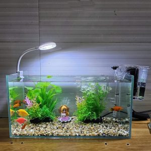 Bể cá 33 cm với 7 món (bể 33cm, sỏi nền, máy lọc, 2 cây nhựa vừa, đèn led uốn D1s, pk tiên cá)