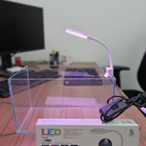 Đèn Jeneca D1S